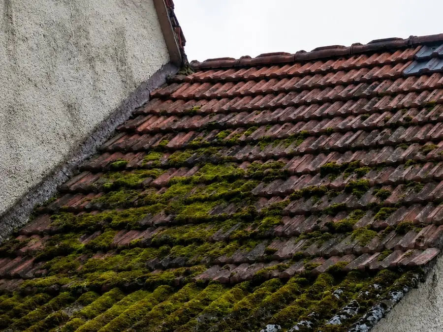 Roofing project — Sunrise Contractors of Florida