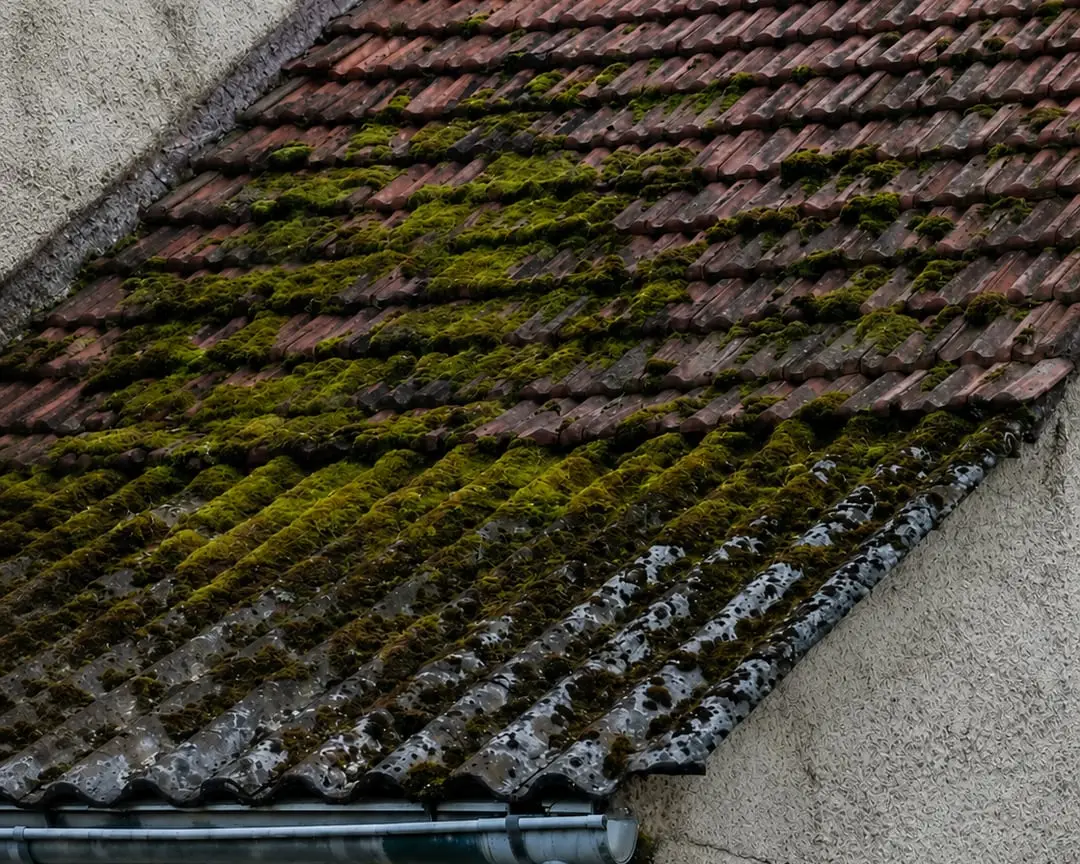 Storm-damaged shingle roof in Sarasota FL — Sunrise Contractors